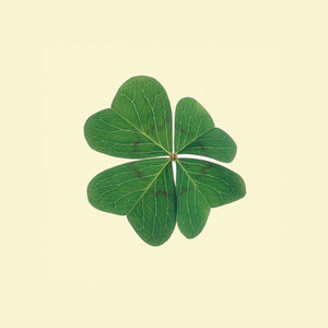 Four Leaf Clover