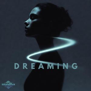 Dreaming (feat. Zayla) (Radio Edit)