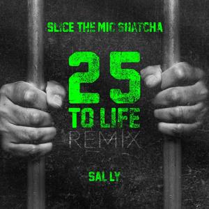 25 to Life (feat. Sal Ly) [Explicit]