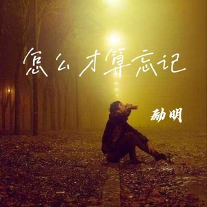 怎么才算忘记-励明