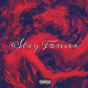 STAY FOREVER (feat. theTAYkeover) (Explicit)