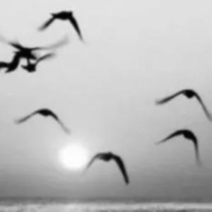 do this my way (Explicit)