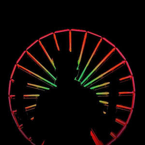 Side Mission (Explicit)