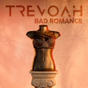 Bad Romance (COVER版)