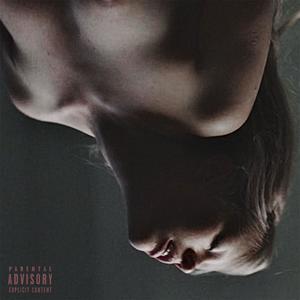 in the dark (Explicit)