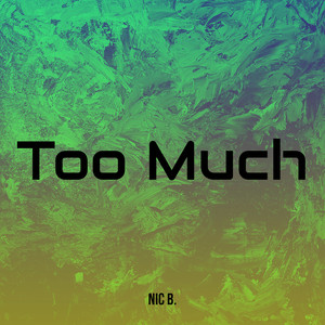 Too Much (Explicit)