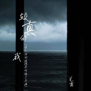 较真的我(旁人劝的道理早听够了千遍)