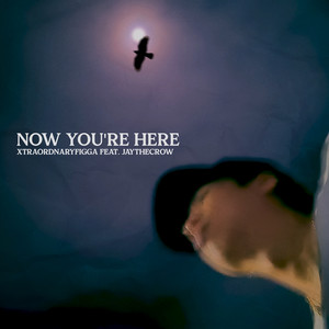 Now You're Here (Explicit)