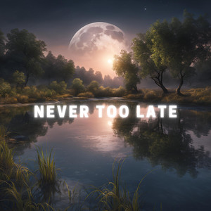 Never Too Late