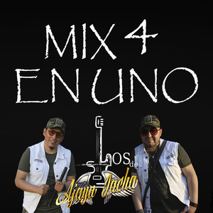 MIX 4 EN UNO