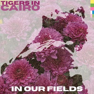 In Our Fields (extended mix)