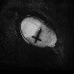 WLR 4 (feat. RNODRACOOOO) (Explicit)