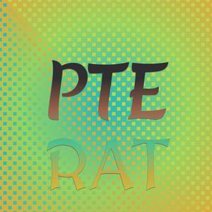 Pte Rat