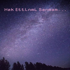 Hak Ettinmi Sanmam