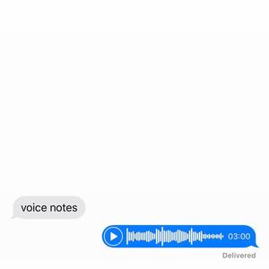 voice notes