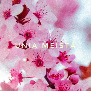 Unia meistä