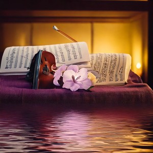 The Journey of Sound