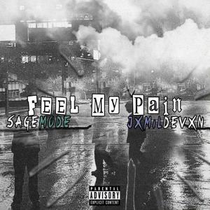 Feel My Pain (feat. Jxmildevxn) (Explicit)