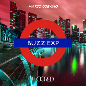 Buzz Exp