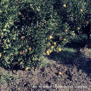 Viure en una Alqueria