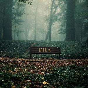Dila
