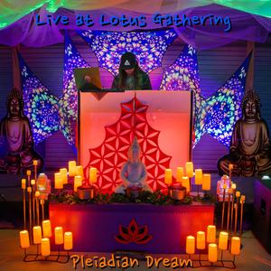 Live at Lotus Gathering (Live)