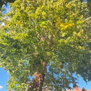 I Want to Write About Love