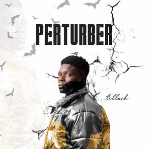 Perturber (Explicit)