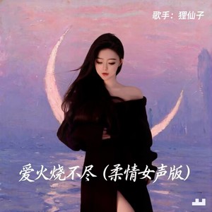 爱火烧不尽 (柔情女声版)封面
