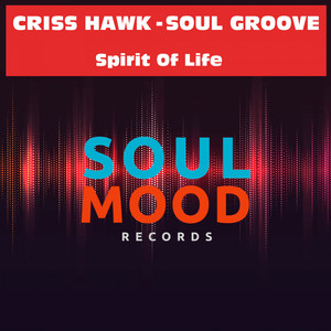 Spirit of Life (Original Mix)