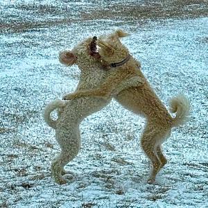 UNTOUCHABLE (MRE REMIX|feat. MRE)