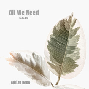 All We Need (Radio Edit)