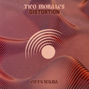 Distortion