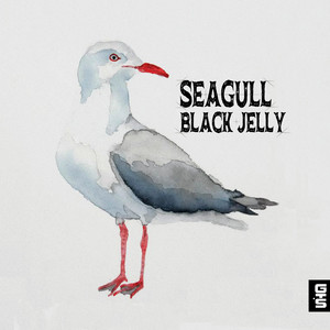 海鸥Seagull