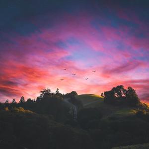 SoFly Freestyle Flow (Explicit)