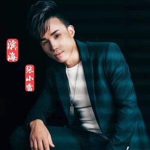 回不去的小时候 (手机录音片段)