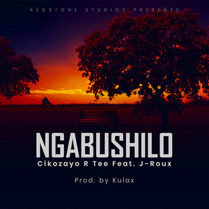 Ngabushilo