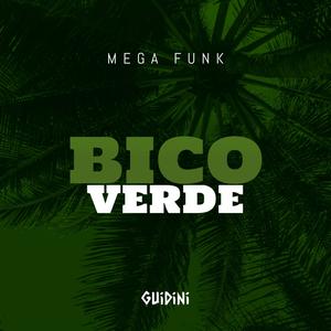 MEGA FUNK BICO VERDE (Explicit)