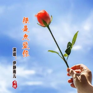 只是太爱你