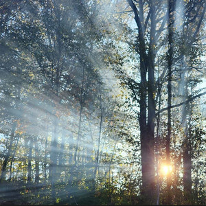 Зазеркалье