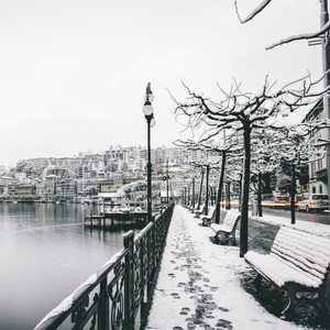 We Wish You a Merry Christmas