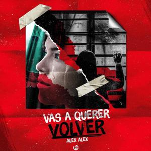 Vas a querer volver (feat. Alex Alex) (Explicit)