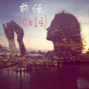 菲特 - 前任 (顾城 remix)