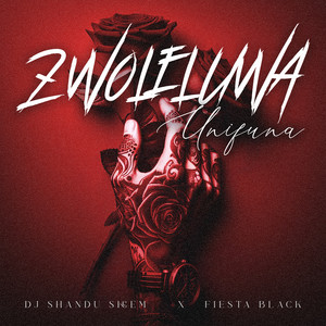DJ SHANDU SKEEM & FIESTA BLACK - ZWOLELUWA UNIFUNA