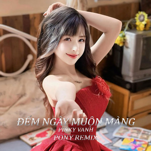 Đếm Ngày Muộn Màng (Pony Remix)
