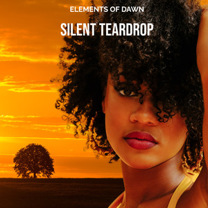 Silent Teardrop