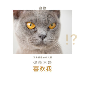盘他