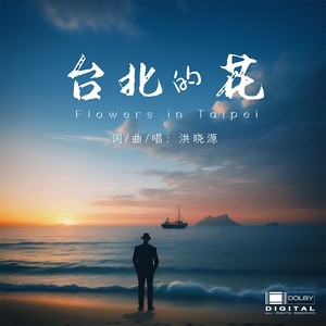 台北的花 (伴奏)