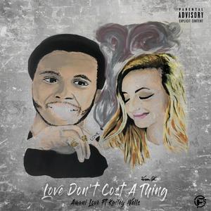 Love Don't Cost a Thing (feat. Kailey Wells) [Explicit]