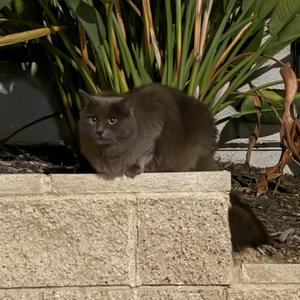 fall down (feat. warm)